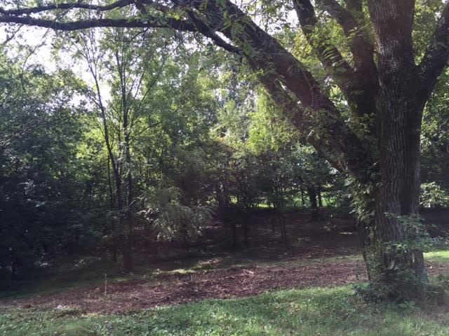 1226 Center Point Road Hendersonville, TN 37075 - Photo 5 of 14 a view of a forest
