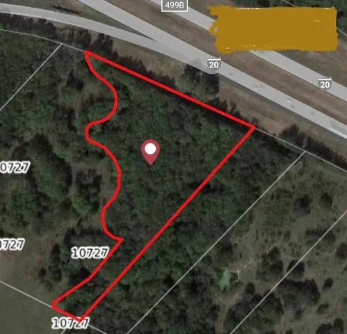 a view of a bunch of plants and a street view