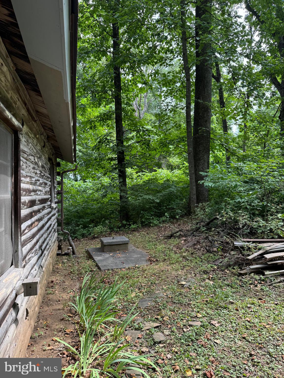 373 Inca Road Linden, VA 22642 - Photo 19 of 26 Gallery Image 19