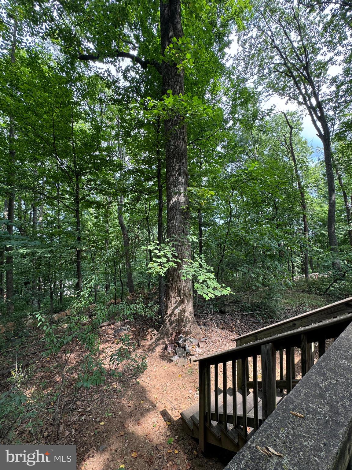 373 Inca Road Linden, VA 22642 - Photo 21 of 26 Gallery Image 21
