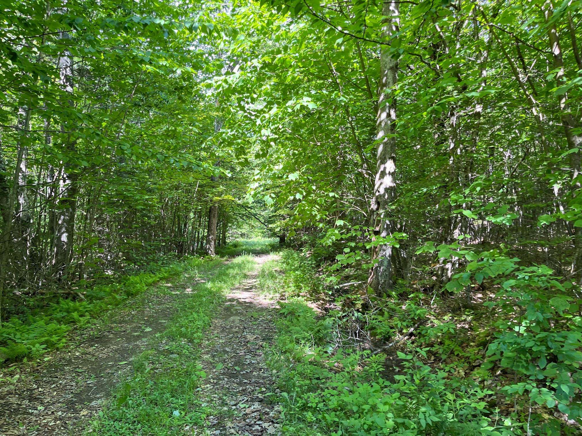 Cape Moonshine Road Wentworth, NH 03282 - Photo 15 of 16 Gallery Image 15