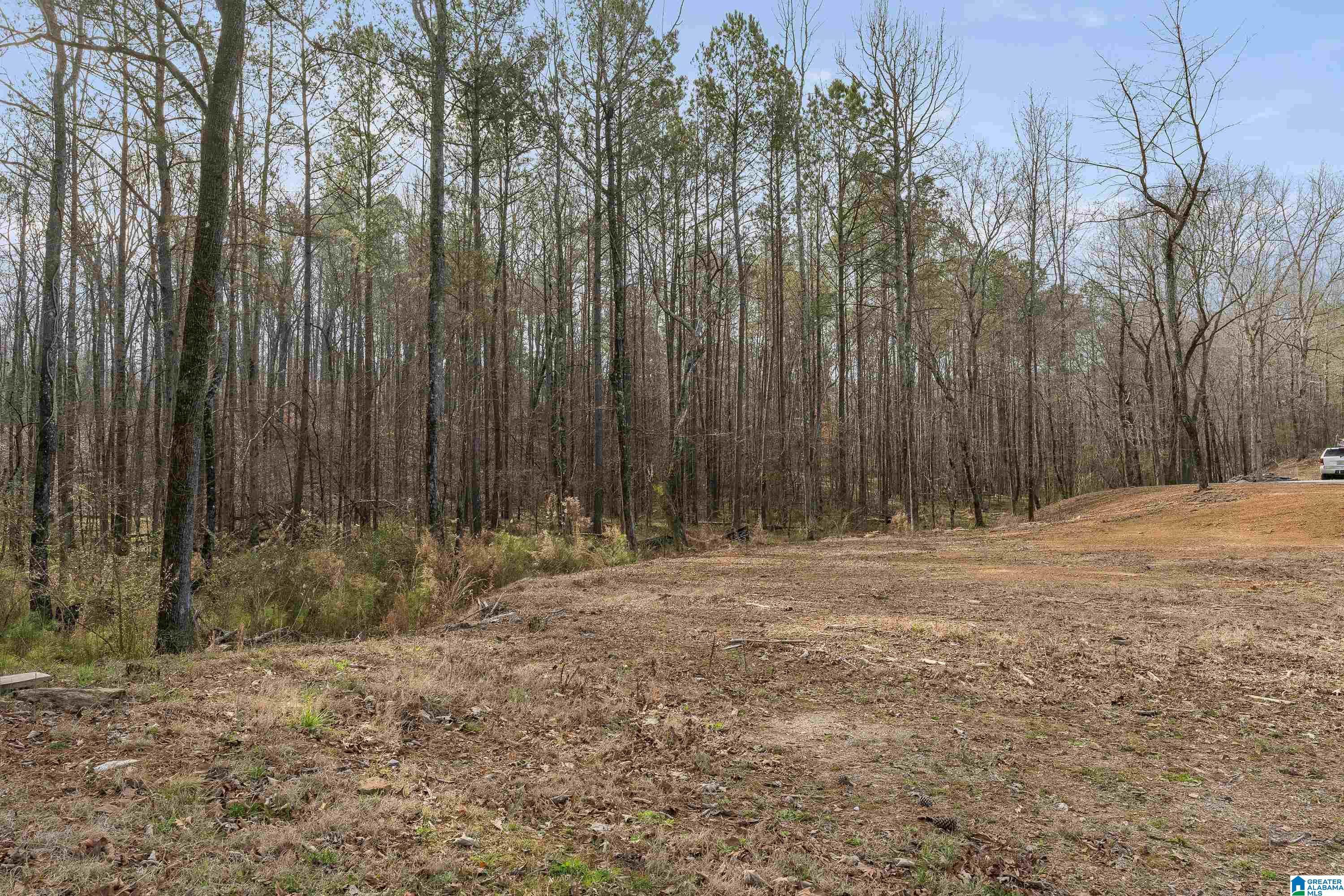 4508 Cabin Road, Unit 2 Bessemer, AL 35022 - Photo 11 of 25