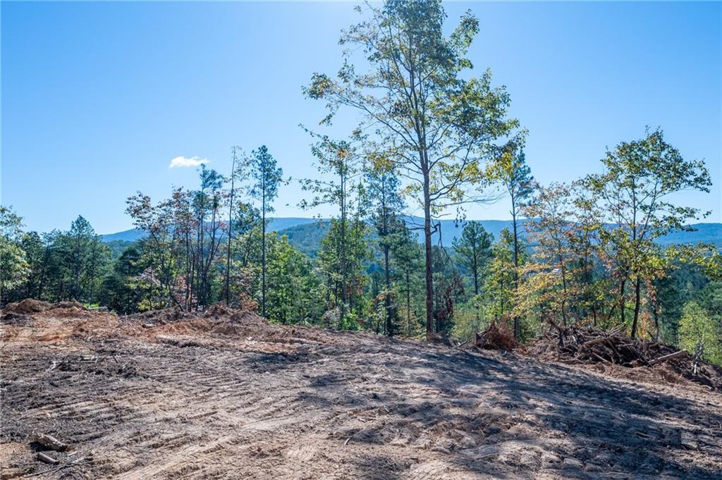 3883 Hwy 140 Ne Rydal Ga 30171 Northeast Rydal, GA 30171 - Photo 6 of 11