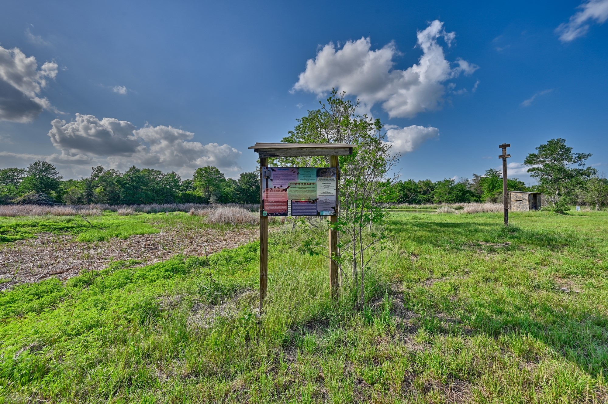 0 Lange Road Ledbetter, TX 78946 - Photo 13 of 26