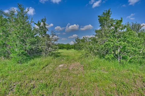 a view of a green yard