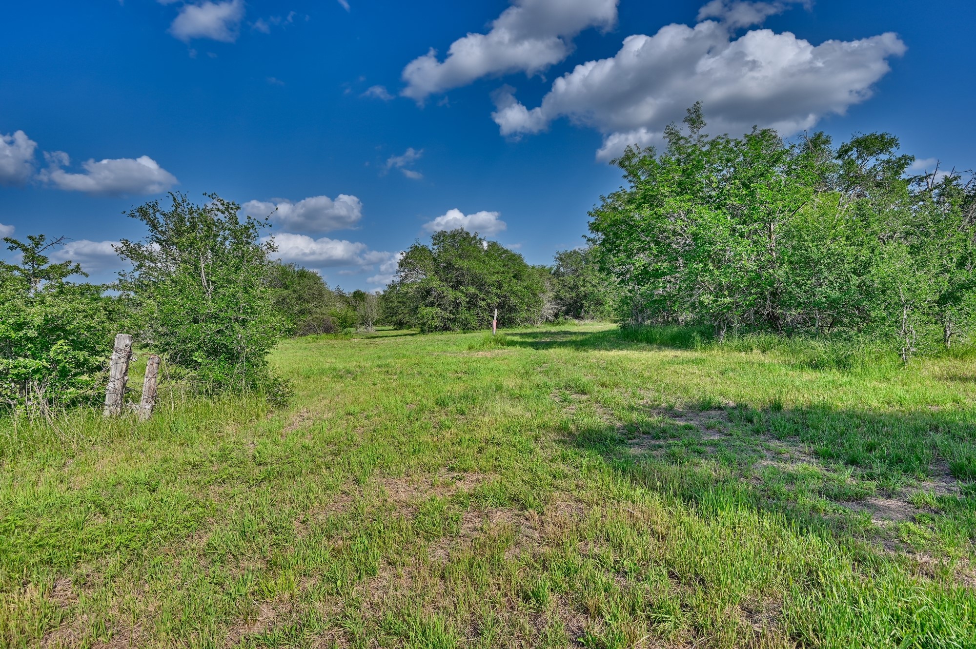 0 Lange Road Ledbetter, TX 78946 - Photo 16 of 26