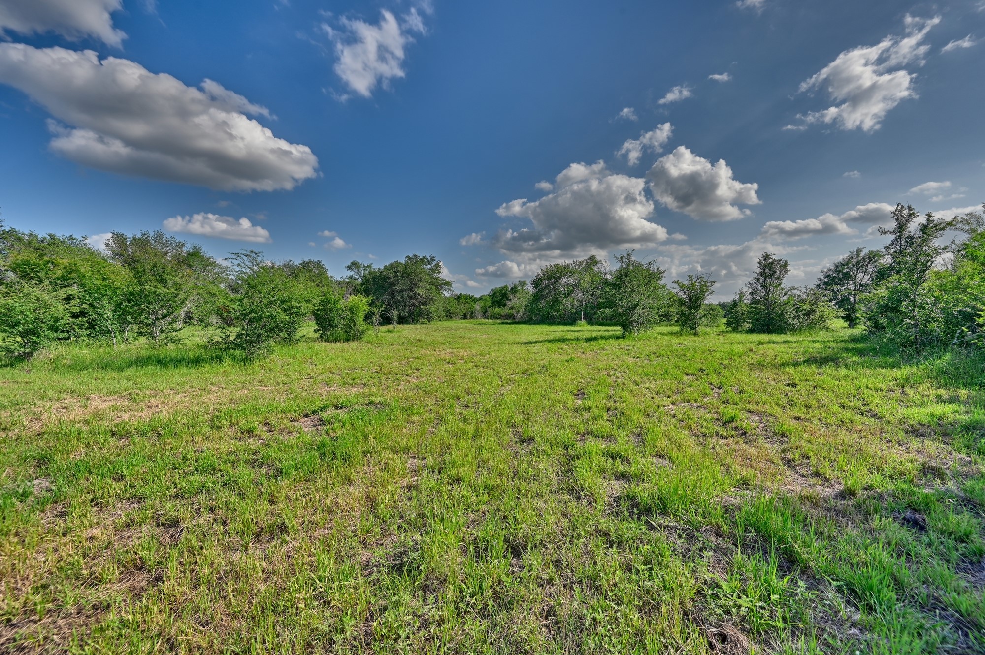 0 Lange Road Ledbetter, TX 78946 - Photo 17 of 26