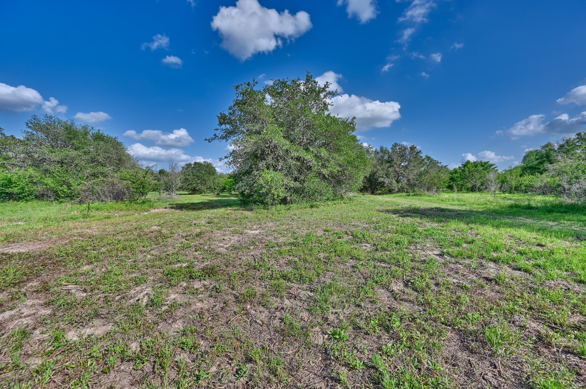 0 Lange Road Ledbetter, TX 78946 - Photo 18 of 26
