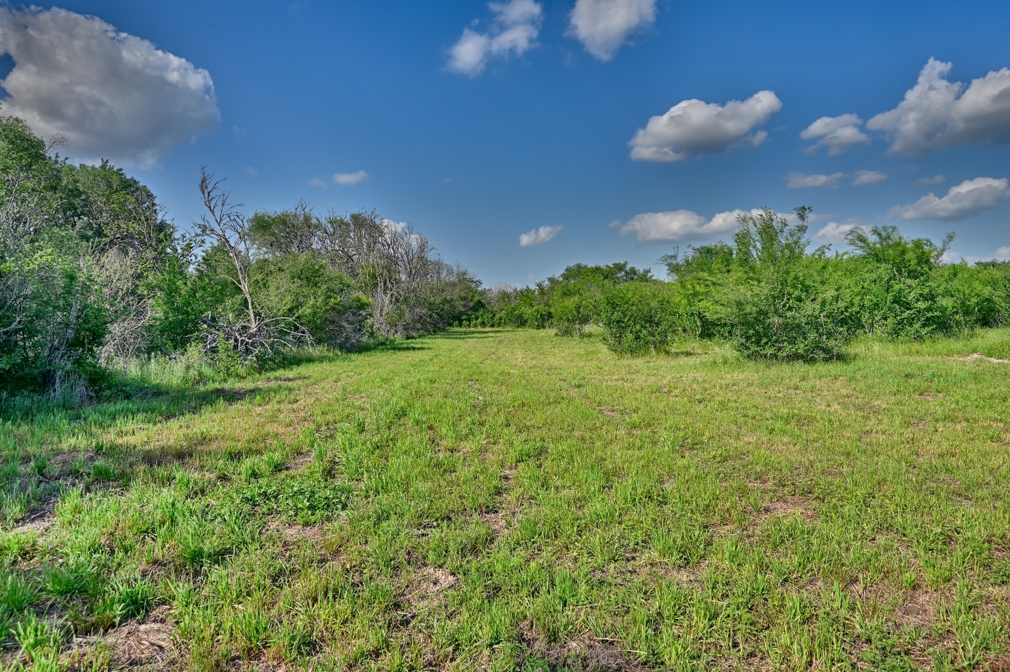 0 Lange Road Ledbetter, TX 78946 - Photo 19 of 26