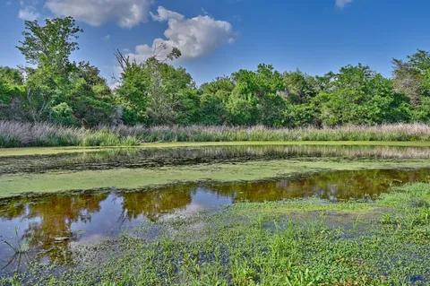 a view of a golf course with a lake