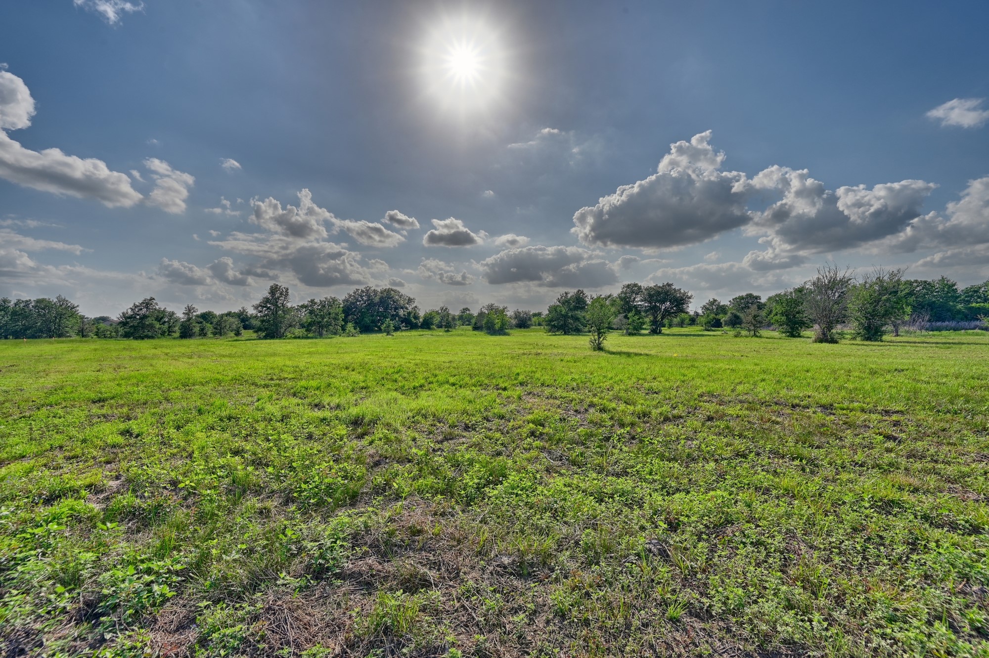 0 Lange Road Ledbetter, TX 78946 - Photo 22 of 26