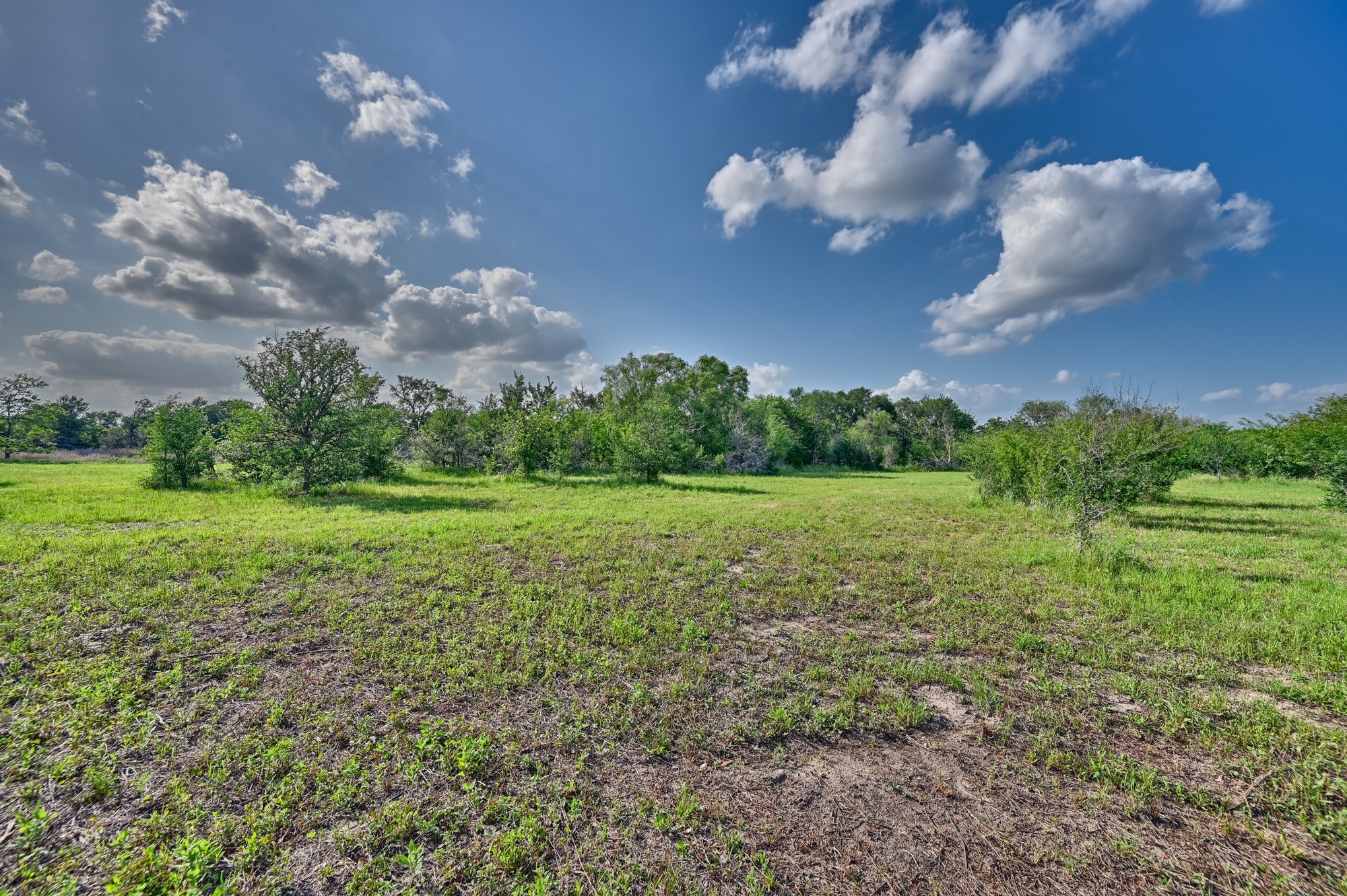0 Lange Road Ledbetter, TX 78946 - Photo 25 of 26