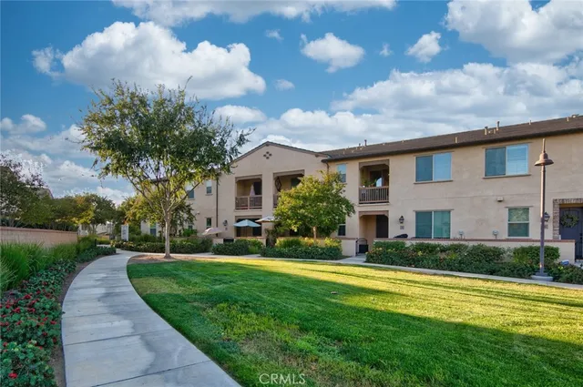 a view of a park with large trees