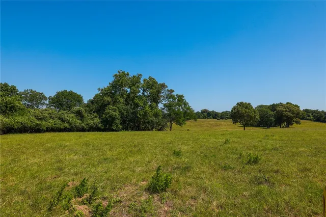 a view of an ocean from a yard