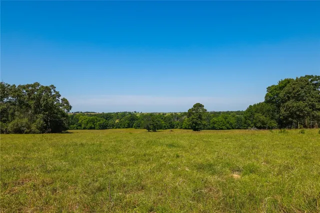 a view of a field with an ocean view