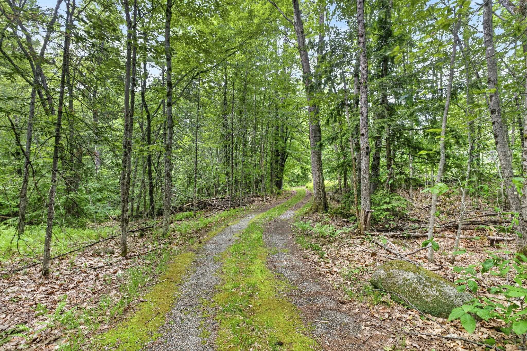 173 N Road Deering, NH 03244 - Photo 41 of 58