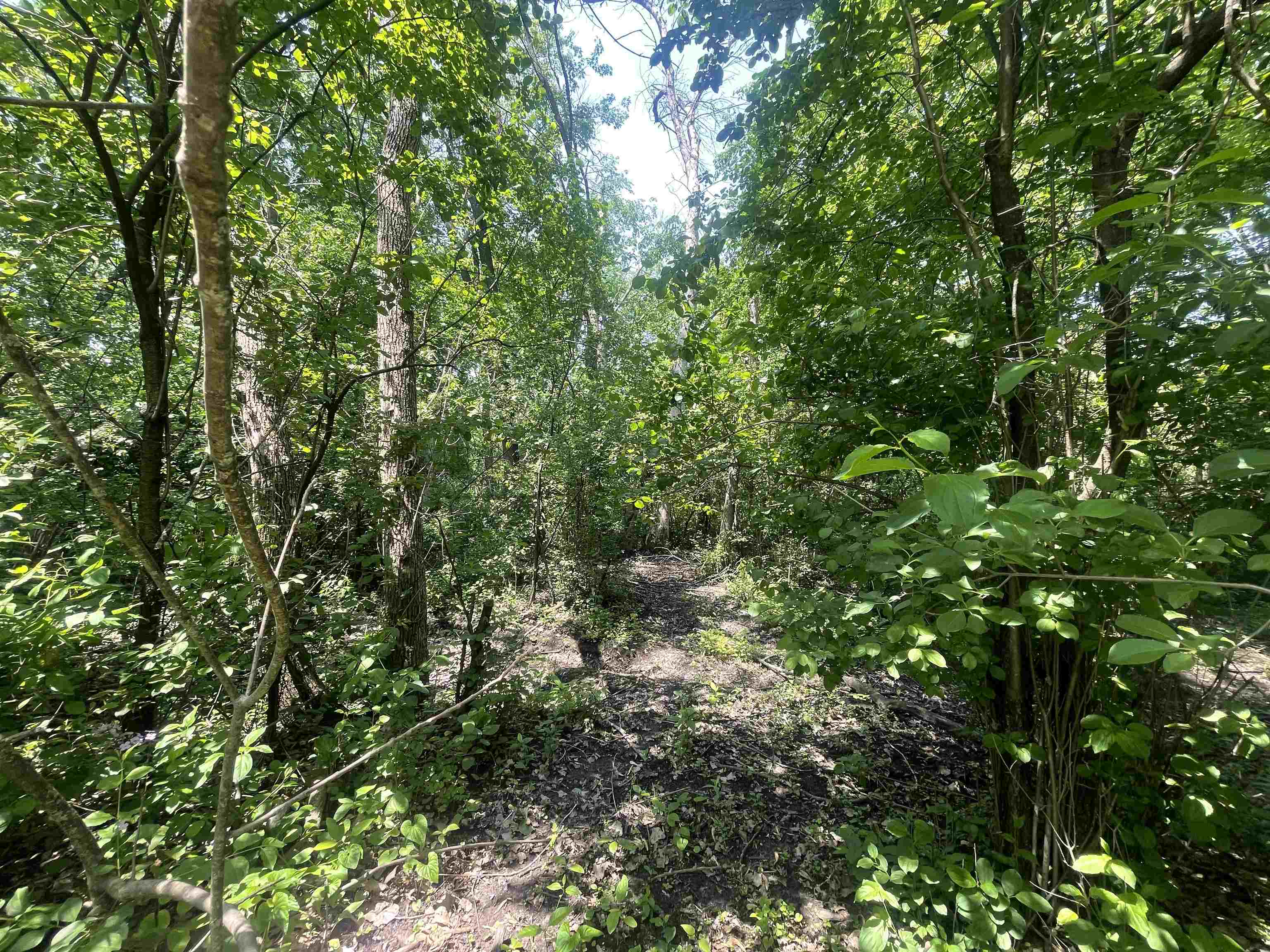 331 South Washington Street Berlin, WI 54923 - Photo 2 of 4