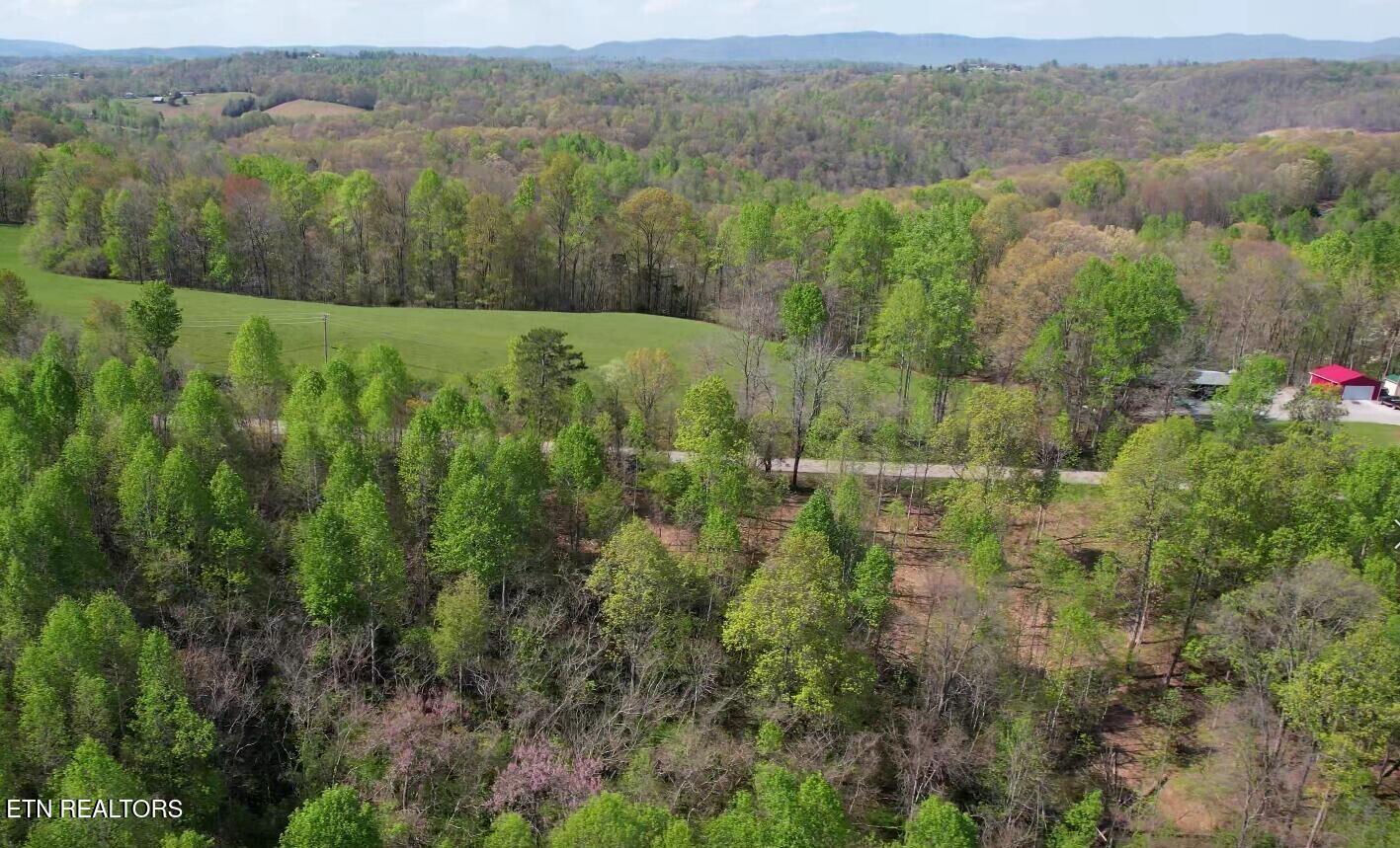 4160 Demory Road La Follette, TN 37766 - Photo 7 of 34 4160 Demory Rd