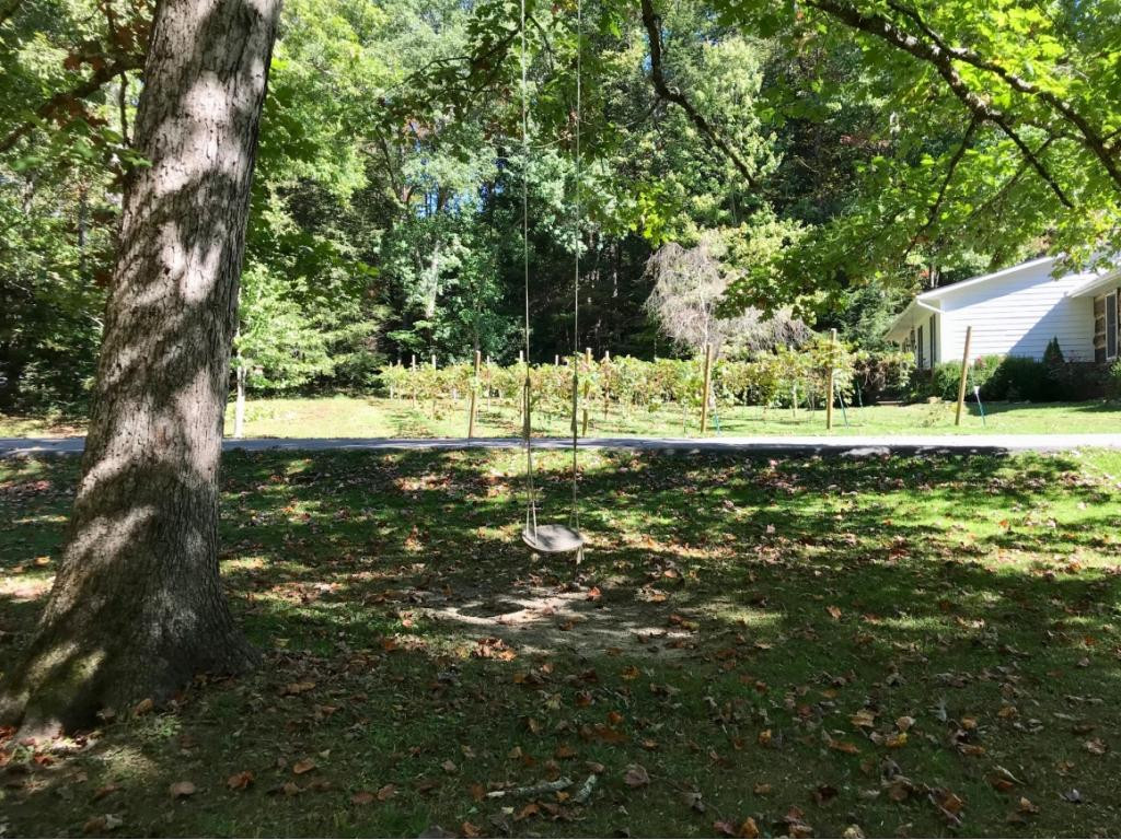 5541 Kilgore Road Wise, VA 24293 - Photo 23 of 36 Photo 24