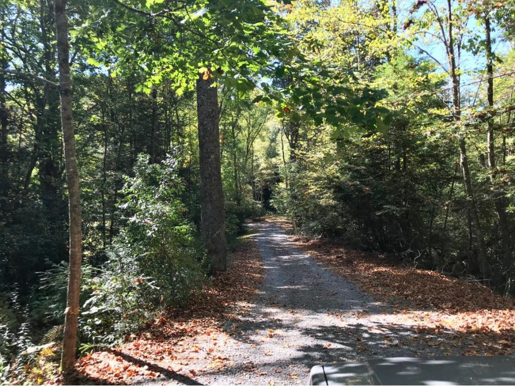 5541 Kilgore Road Wise, VA 24293 - Photo 32 of 36 The Road that Leads to