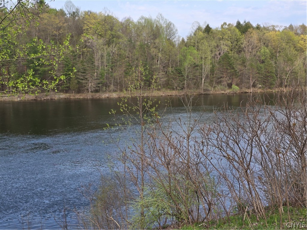 187 Millard Bassett Road Granby, NY 13069 - Photo 17 of 48