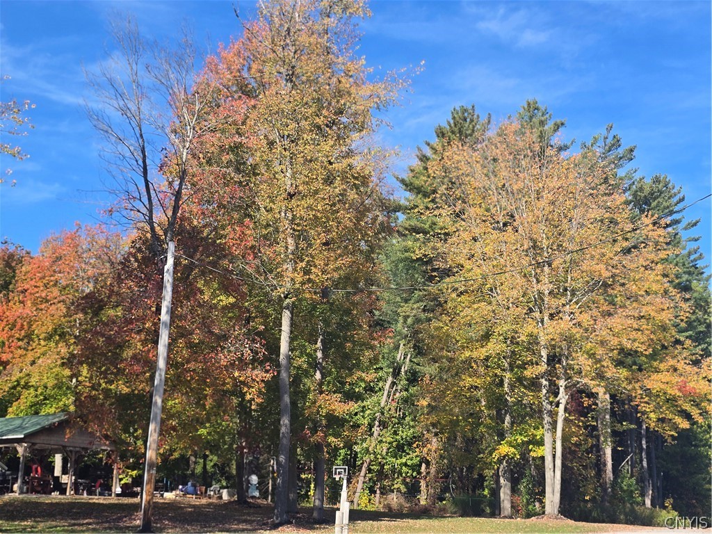 187 Millard Bassett Road Granby, NY 13069 - Photo 4 of 48