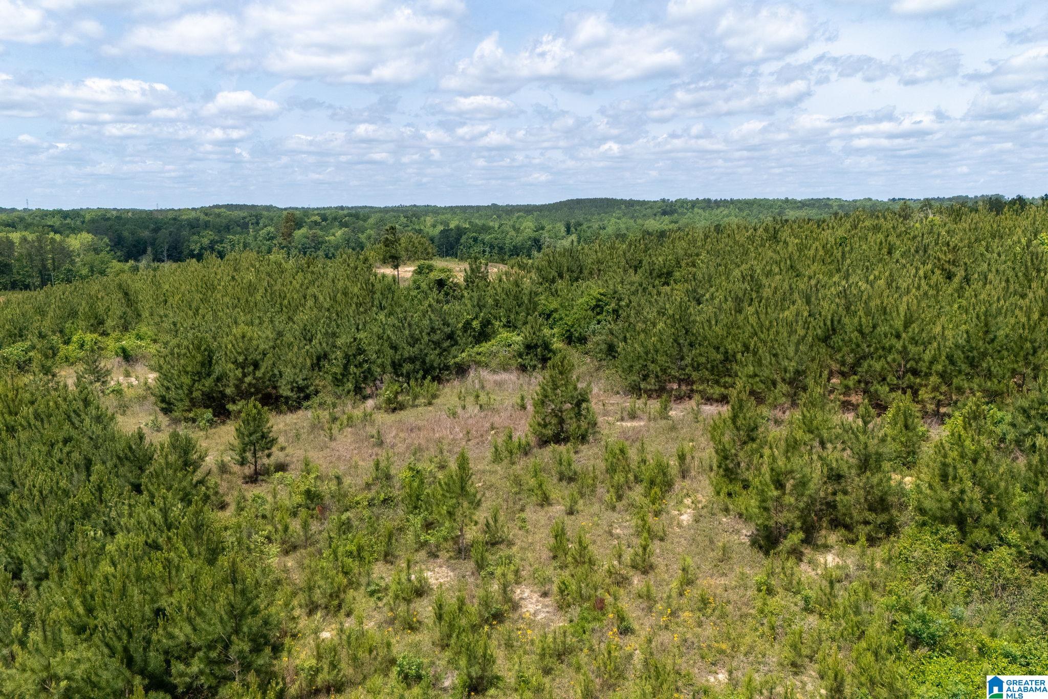 16 County Road Maplesville, AL 36750 - Photo 15 of 26