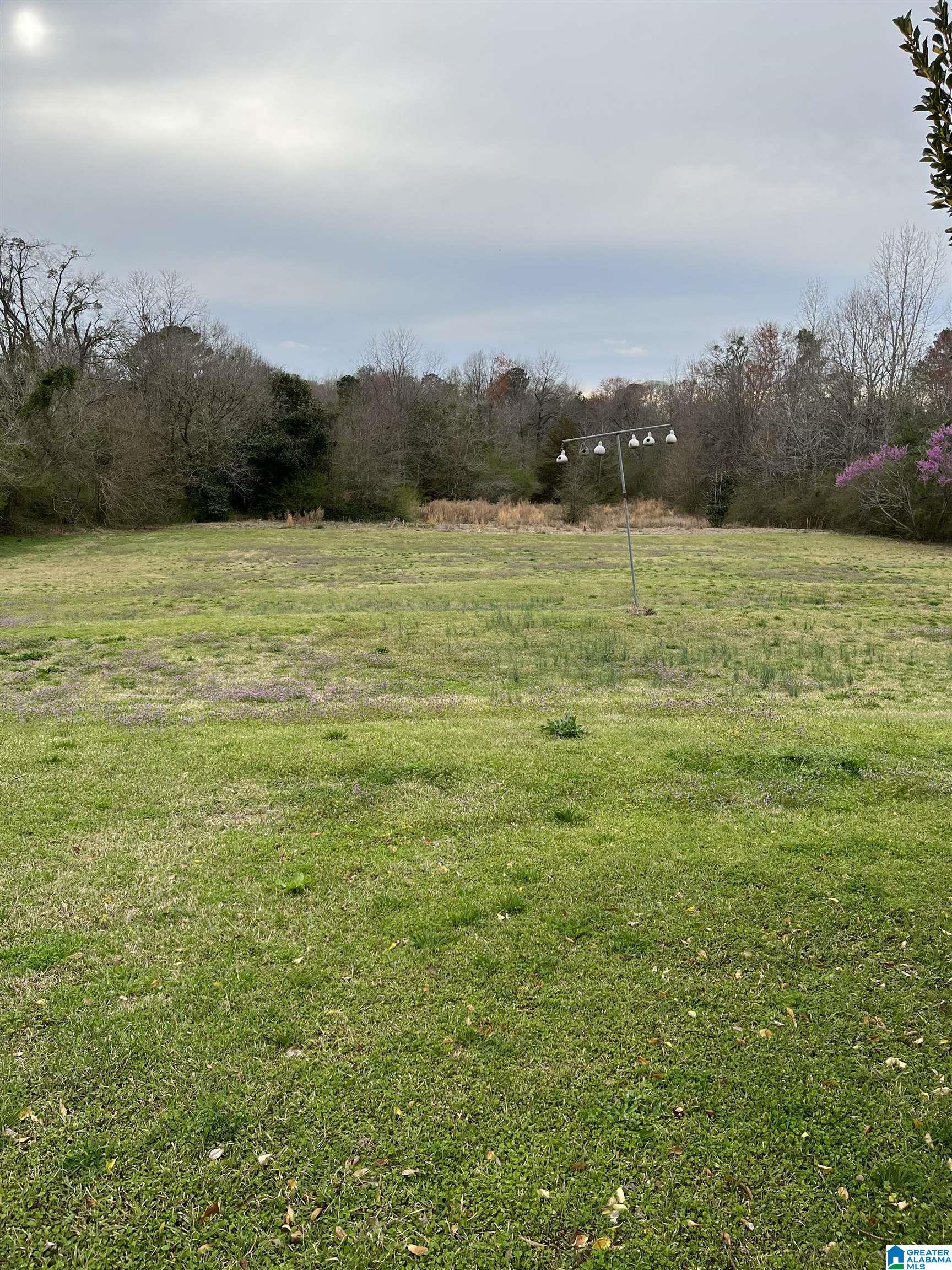 1200 Old Samaria Road Clanton, AL 35045 - Photo 4 of 16