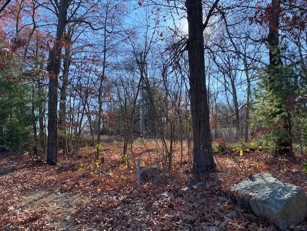 a view of outdoor space with lots of trees