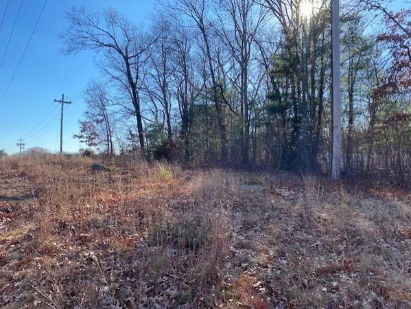 a view of a yard with large trees