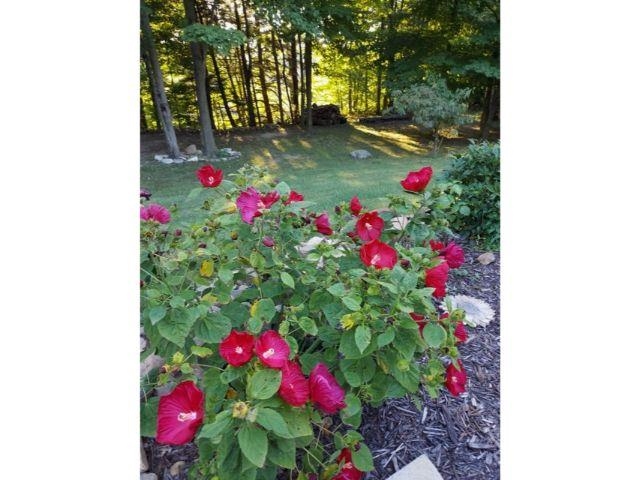 11076 Norman Road Yale, MI 48097 - Photo 99 of 99 50127457-98.JPG