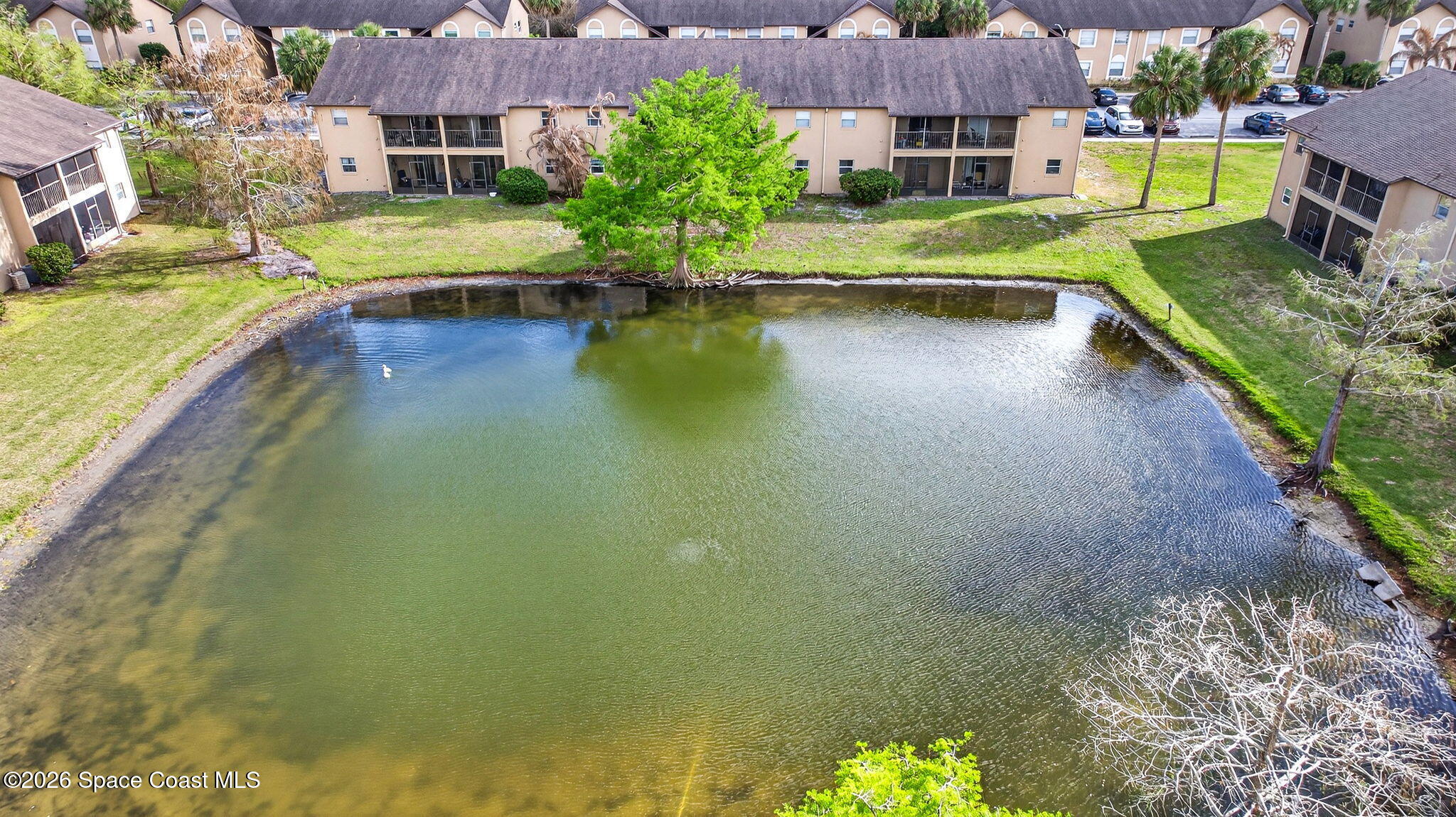 240 Spring Drive, Unit 5 Merritt Island, FL 32953 - Photo 11 of 45 DJI_20260304170232_0030_D