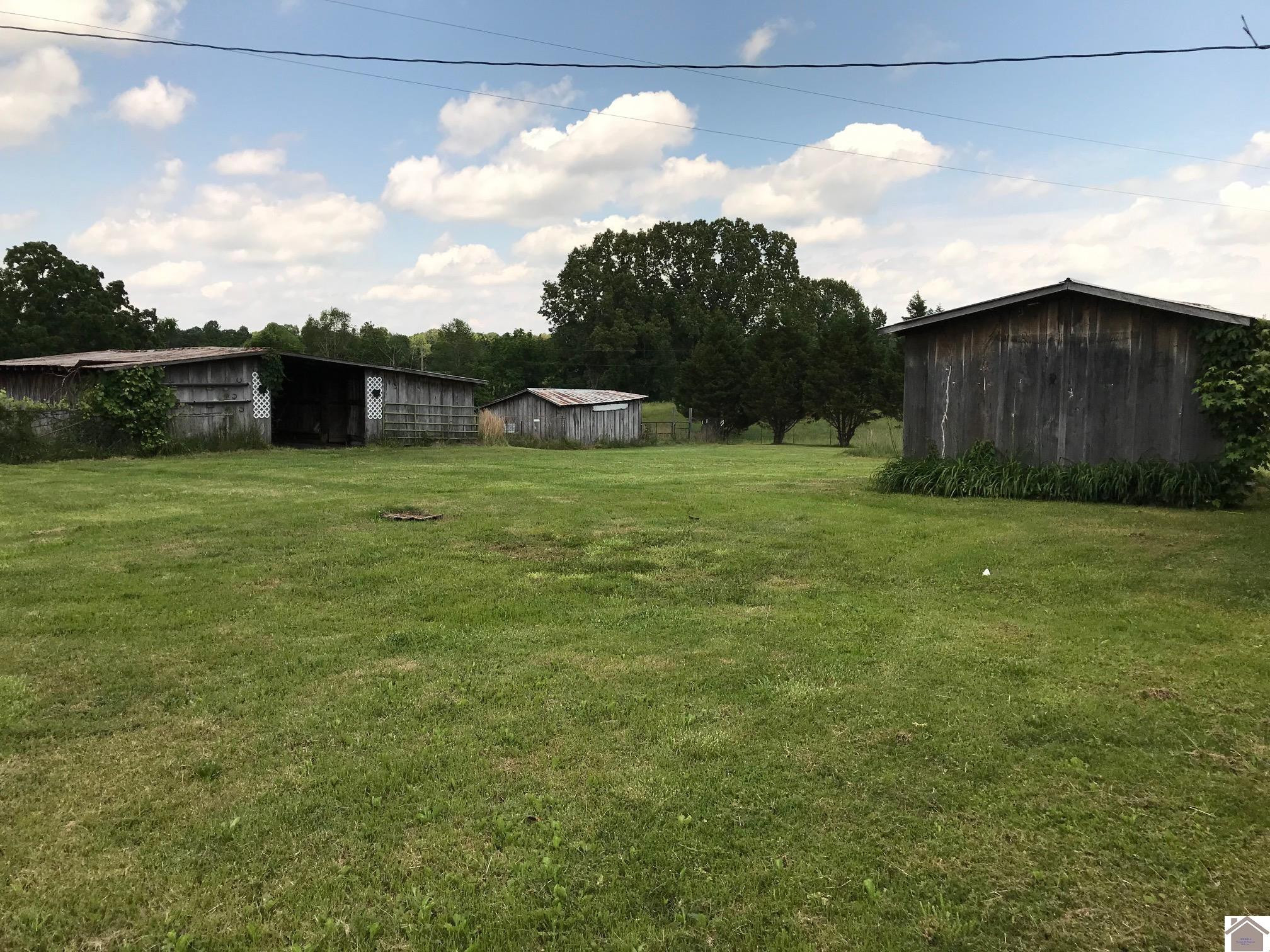 1909 Dooms Chapel Road Symsonia, KY 42082 - Photo 21 of 30 Photo 21