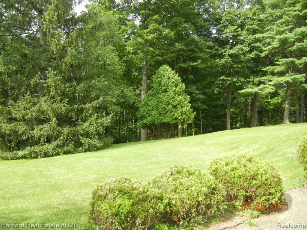 30420 Springview Street Farmington, MI 48334 - Photo 5 of 31 Back yard from walkout