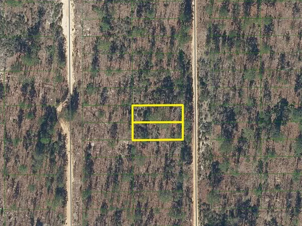 $1,000 | 423 Dothan Street, Interlachen, FL 32148