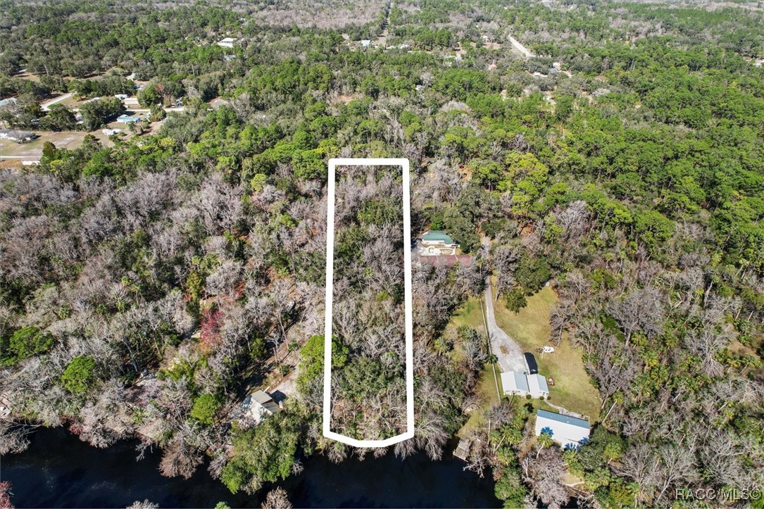 0 Our Road Inglis, FL 34449 - Photo 4 of 14