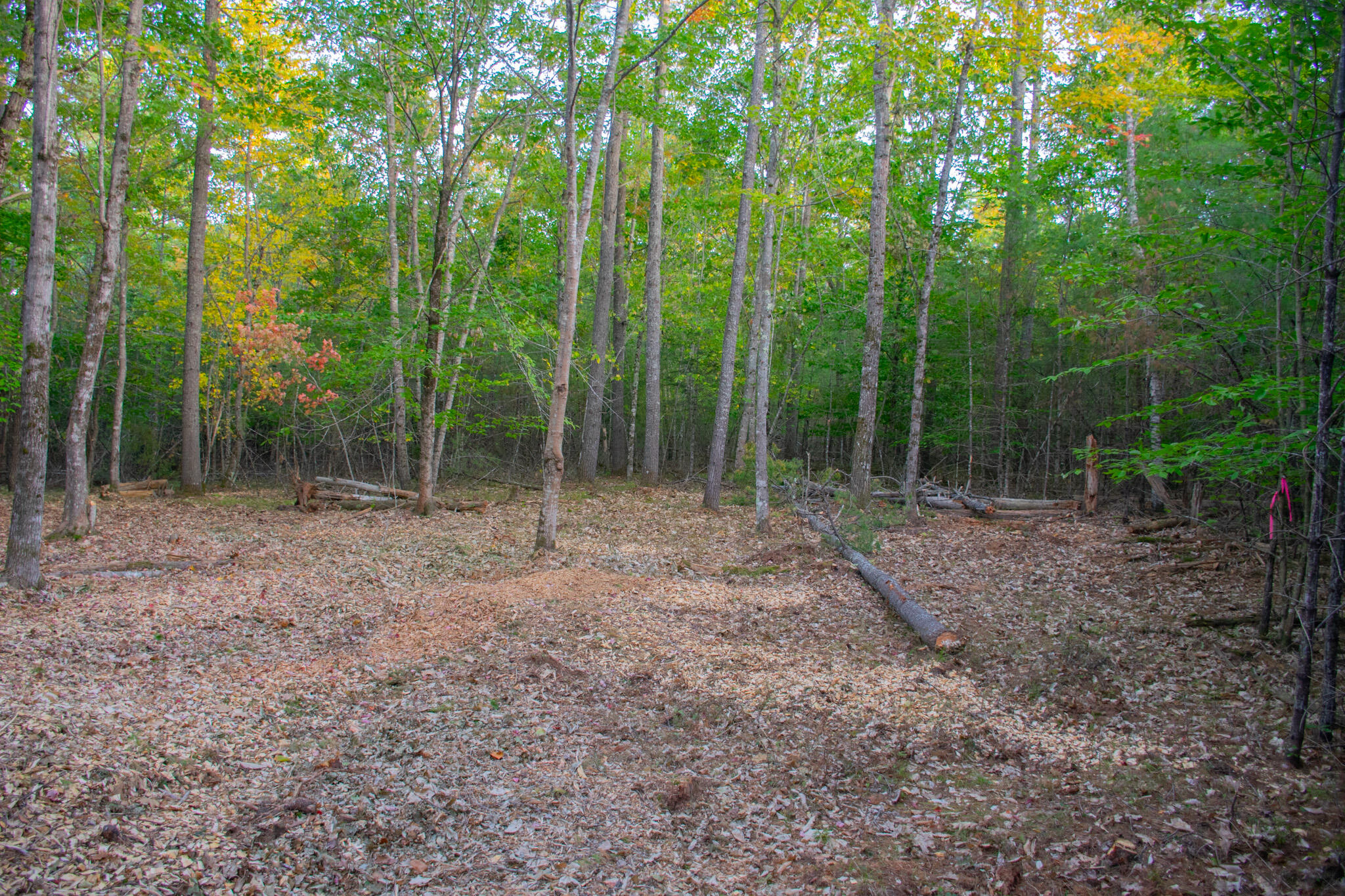 Tbd New Dam Road North Waterboro, ME 04061 - Photo 14 of 24