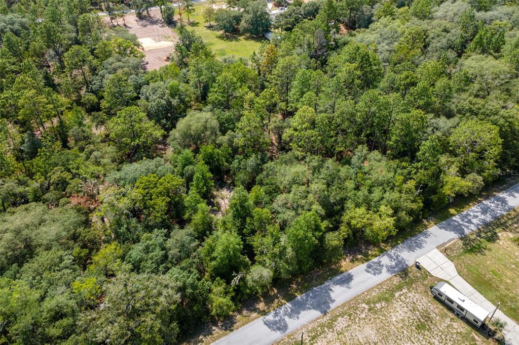 Southwest Shasta Court Dunnellon, FL 34431 - Photo 6 of 9