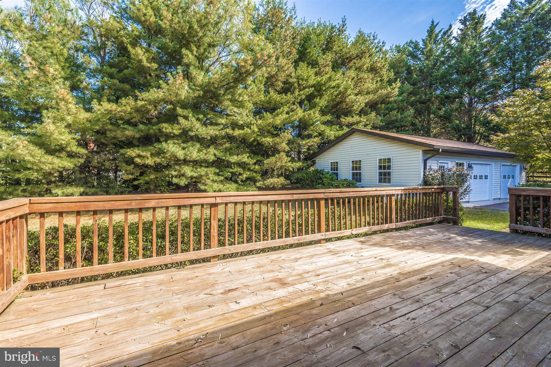 2660 Gilbert Road Mount Airy, MD 21771 - Photo 11 of 30 Backyard lined with Evergreens