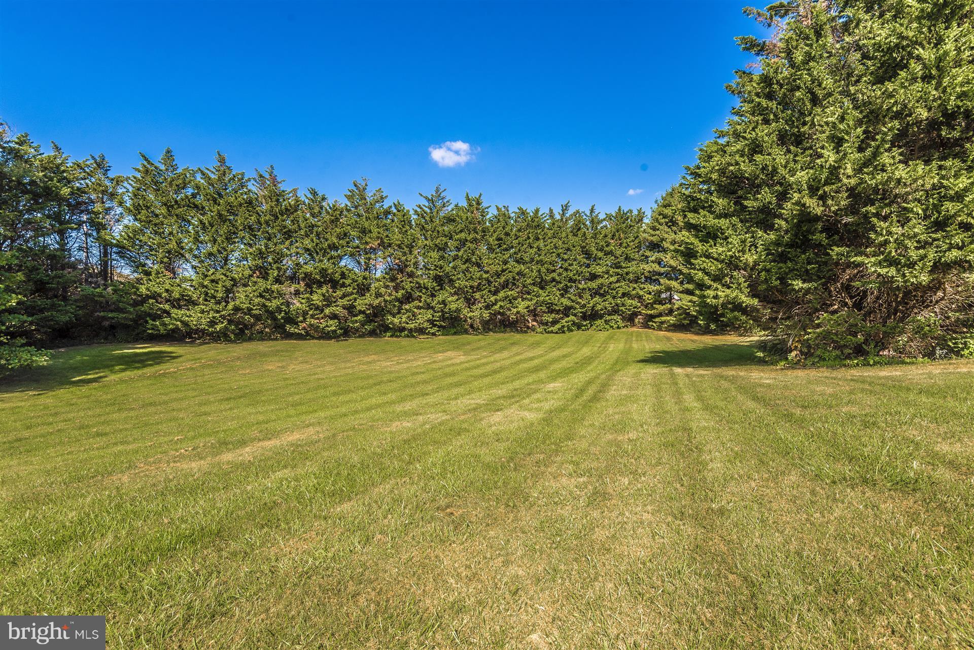 2660 Gilbert Road Mount Airy, MD 21771 - Photo 29 of 30 Spacious Yard