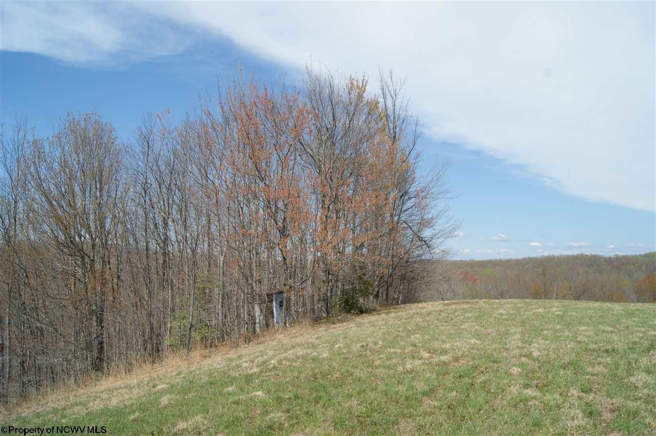 199 Marvin Caynor Road Ellamore, WV 26267 - Photo 15 of 20 Gallery Image 15