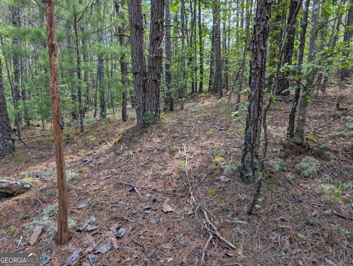 4-5 Belltown Road, Unit 4 & 5 Copperhill, TN 37317 - Photo 16 of 27 Gallery Image 16