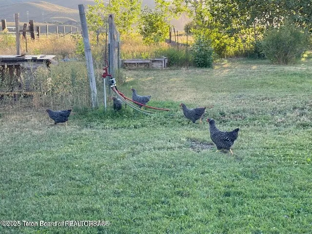 $524,900 | 332 Collett Avenue, Cokeville, WY 83114