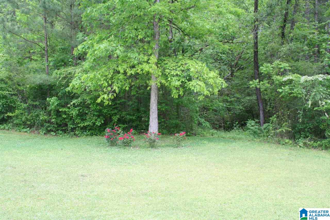 7340 Highway 144 Ragland, AL 35131 - Photo 34 of 40