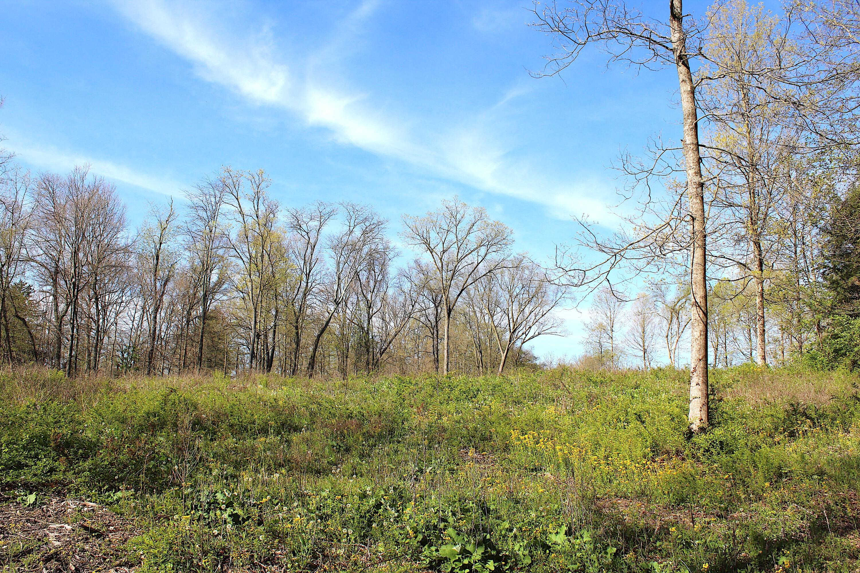 7663 Dublin Road Delaware, OH 43015 - Photo 29 of 33 IMG_6645