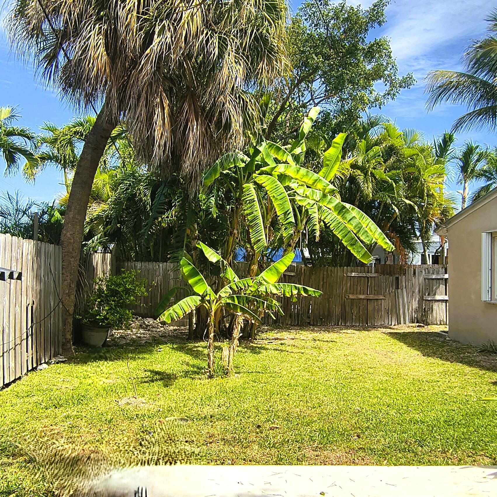 3011 Riviera Drive Key West, FL 33040 - Photo 11 of 36 Backyard
