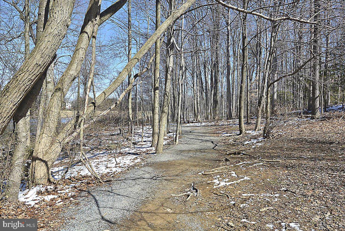 5902 Cove Landing Road, Unit 304 Burke, VA 22015 - Photo 36 of 59