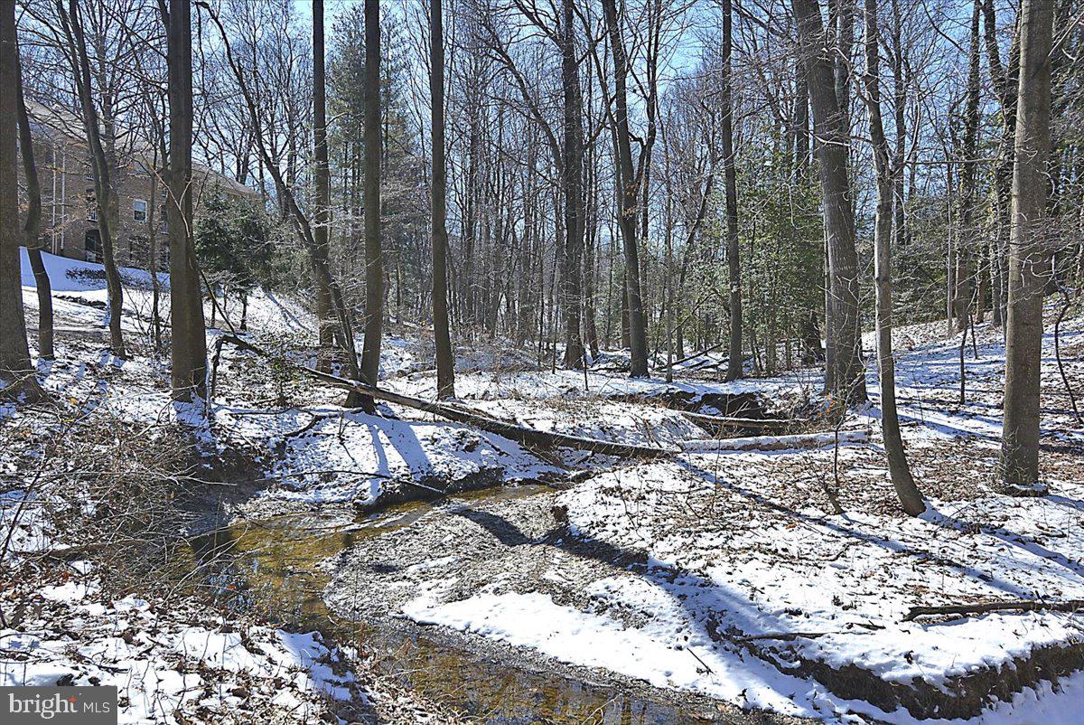 5902 Cove Landing Road, Unit 304 Burke, VA 22015 - Photo 47 of 59