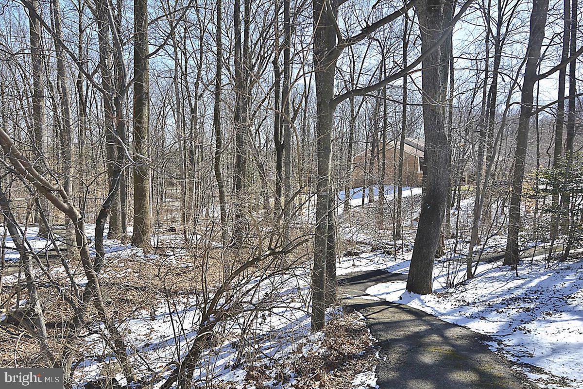 5902 Cove Landing Road, Unit 304 Burke, VA 22015 - Photo 48 of 59