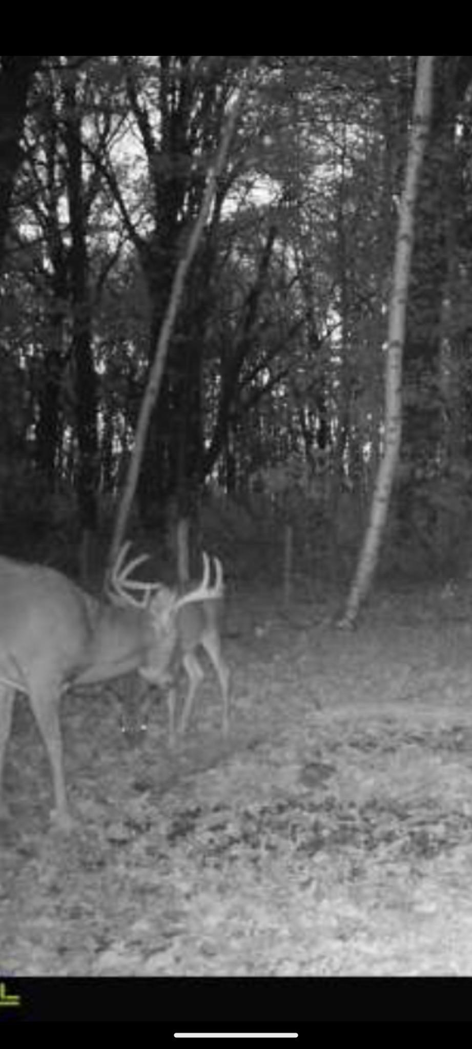 Xxx Bashaw Store Road Shell Lake, WI 54871 - Photo 32 of 40 Gallery Image 32